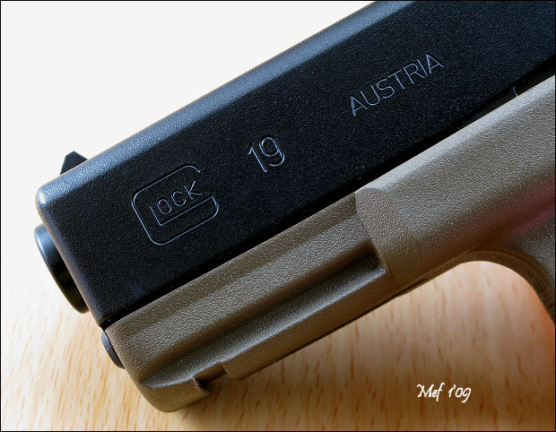 Glock 19